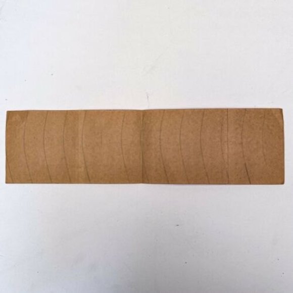 I Conquered Space Mountain Disneyland Bumper Sticker 1977 For Cast Members Only - Picture 7 of 10